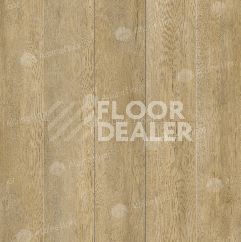 Кварцвиниловые полы Alpine Floor Sequoia (SPC) Секвойя Венето ЕСО 6-13 SPC фото 1 | FLOORDEALER