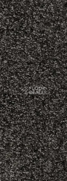 Ковровая плитка Invictus Crixus 99 фото 1 | FLOORDEALER