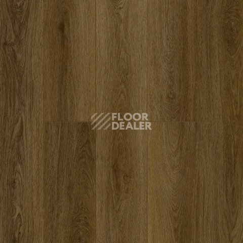 Кварцвиниловые полы Alpine Floor Premium XL Дуб Вековой ECO7-39 фото 1 | FLOORDEALER