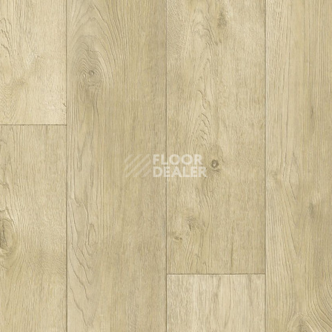 Линолеум Tarkett Philosophy EVENT 5 фото 1 | FLOORDEALER