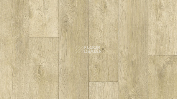 Линолеум Tarkett Philosophy EVENT 5 фото 1 | FLOORDEALER