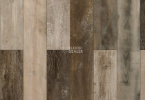 Parador Trendtime 1 1601433 Хаотичный Дикий фото 2 | FLOORDEALER