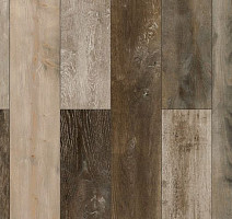 Parador Trendtime 1 1601433 Хаотичный Дикий фото 2 | FLOORDEALER