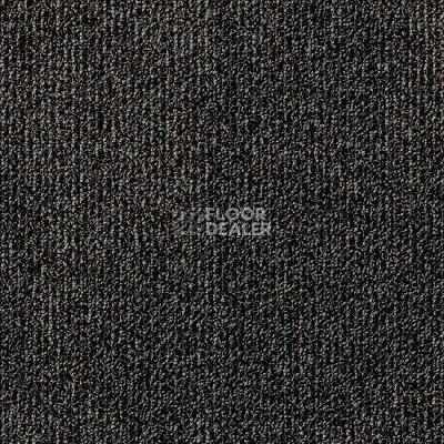 Ковровая плитка Balsan Tramontane Sonic Confort 970 фото 1 | FLOORDEALER