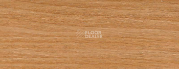 Плинтус Dollken EP 60/13 2639 фото 2 | FLOORDEALER