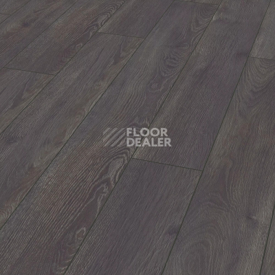 Ламинат Kronotex Aqua Amazone 10мм D6010 Дуб Эльба чёрный фото 1 | FLOORDEALER