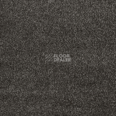 Ковролин AW Secret 99 фото 1 | FLOORDEALER