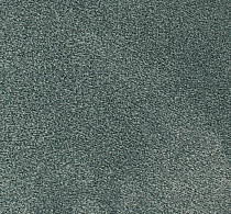 Ковролин Edel Ambition 171 фото 1 | FLOORDEALER