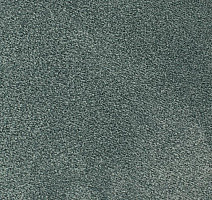 Ковролин Edel Ambition 171 фото 1 | FLOORDEALER