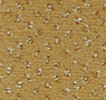 Ковролин Infloor Credo 220 фото 1 | FLOORDEALER