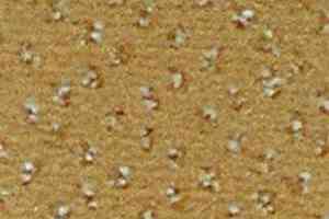 Ковролин Infloor Credo 220 фото  | FLOORDEALER