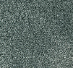 Ковролин Edel Ambition 171 фото 1 | FLOORDEALER