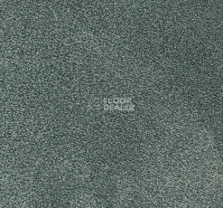 Ковролин Edel Ambition 171 фото 1 | FLOORDEALER