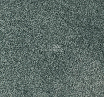 Ковролин Edel Ambition 171 фото 1 | FLOORDEALER