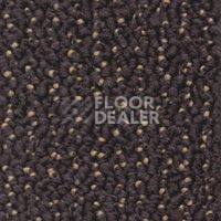 Ковролин Dura Level One 830 фото 1 | FLOORDEALER