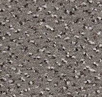 Ковролин Infloor Cayenne 860 фото 1 | FLOORDEALER