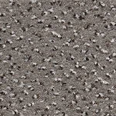 Ковролин Infloor Cayenne 860 фото 1 | FLOORDEALER