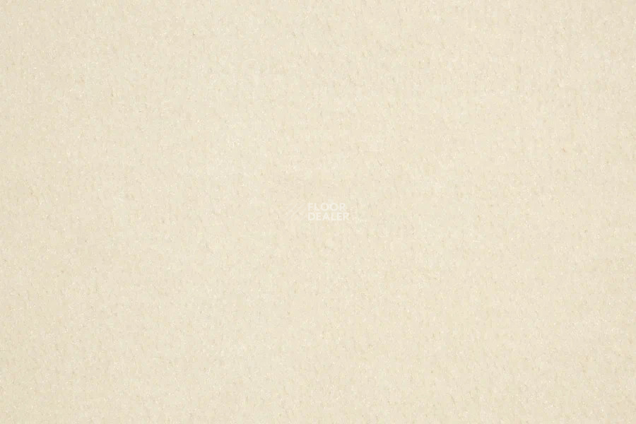 Vorwerk Passion 1000/Modena Vorwerk 6a68 фото 2 | FLOORDEALER