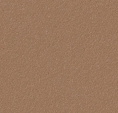 Forbo Marmoleum Bulletin Board 2166 nutmeg spice фото 1 | FLOORDEALER