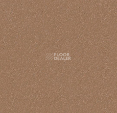 Линолеум Forbo Marmoleum Bulletin Board 2166 nutmeg spice фото 1 | FLOORDEALER