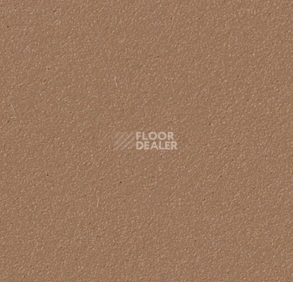 Линолеум Forbo Marmoleum Bulletin Board 2166 nutmeg spice фото 1 | FLOORDEALER