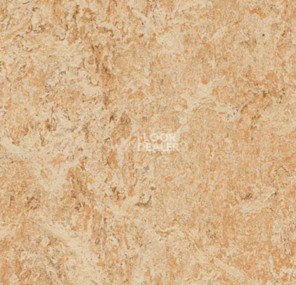 Линолеум Forbo Marmoleum Decibel 307535 фото 1 | FLOORDEALER