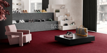 Associated Weavers Maxima 12 фото 2 | FLOORDEALER