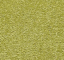 Ковролин Vorwerk Passion 1001 Vorwerk 4f62 фото 1 | FLOORDEALER