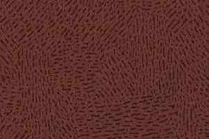 Ковролин Flotex Montana 296073 фото  | FLOORDEALER