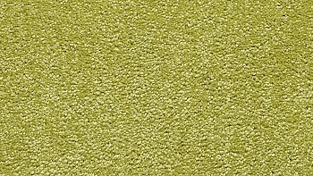 Vorwerk Passion 1001 Vorwerk 4f62 фото 1 | FLOORDEALER