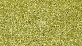 Ковролин Vorwerk Passion 1001 Vorwerk 4f62 фото 1 | FLOORDEALER