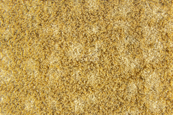 Flotex Colour Metro 5050 t 546013 Metro Amber фото 2 | FLOORDEALER