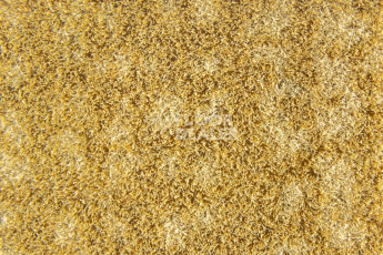 Forbo Flotex Colour Metro 5050 t 546013 Metro Amber фото 2 | FLOORDEALER