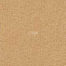 Besmer Cite 822 фото 1 | FLOORDEALER