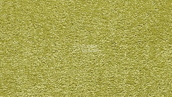 Ковролин Vorwerk Passion 1001 Vorwerk 4f62 фото 1 | FLOORDEALER