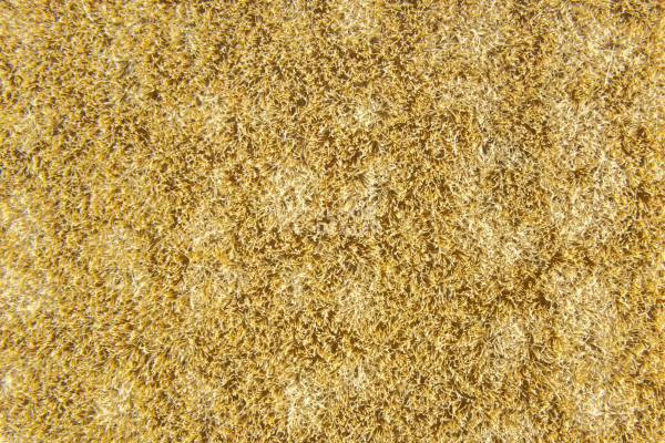 Flotex Colour Metro 5050 t 546013 Metro Amber фото 2 | FLOORDEALER