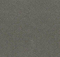 Ковролин Desso Asteranne 9504 фото 1 | FLOORDEALER