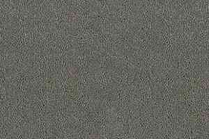 Ковролин Desso Asteranne 9504 фото  | FLOORDEALER