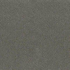 Ковролин Desso Asteranne 9504 фото 1 | FLOORDEALER