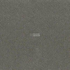 Desso Asteranne 9504 фото 1 | FLOORDEALER