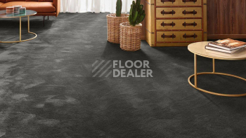 Vorwerk Exclusive 1060 Safira 9g21 фото 2 | FLOORDEALER