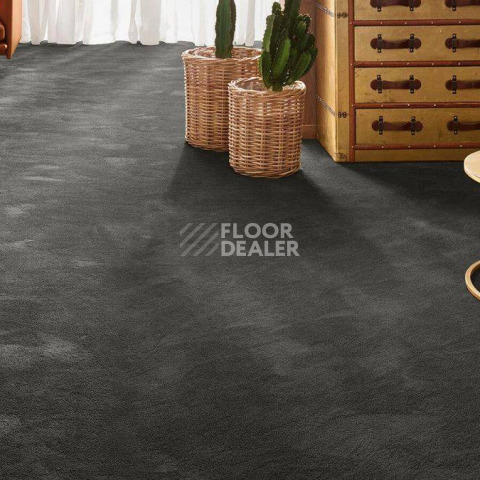Vorwerk Exclusive 1060 Safira 9g21 фото 2 | FLOORDEALER