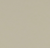 Линолеум Forbo Marmoleum Solid Walton 3378 stucco фото 1 | FLOORDEALER