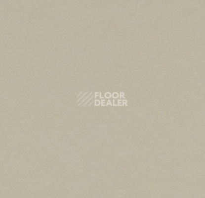 Линолеум Forbo Marmoleum Solid Walton 3378 stucco фото 1 | FLOORDEALER