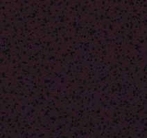 Ковролин Flotex Samba 342069 фото 1 | FLOORDEALER