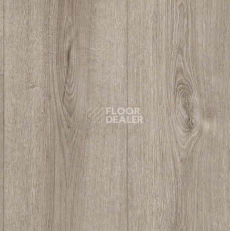 Parador Basic Plus 600 XS 1744355 Дуб Valere Gekälkt Жемчужно-серый фото 2 | FLOORDEALER