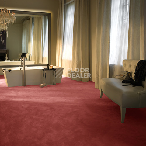 AW The Velvet Omphale / Омфала 10 фото 2 | FLOORDEALER