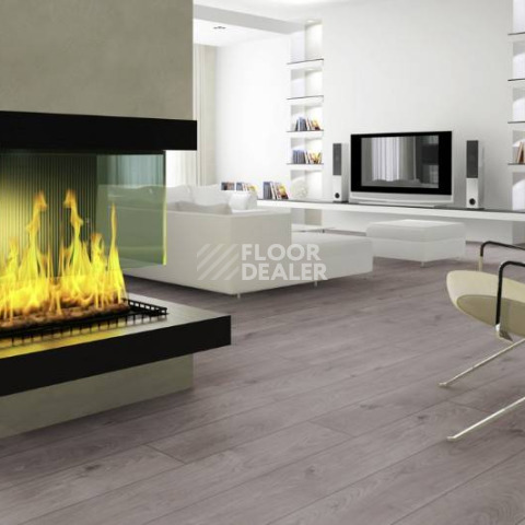 Kronotex Mammut d3178 Дуб Эверест Серый фото 2 | FLOORDEALER