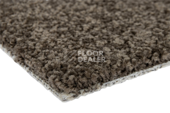 Haima Noble 67 фото 5 | FLOORDEALER