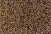 Flotex Colour Penang 50*50 t 382015 Penang Beige фото 2 | FLOORDEALER